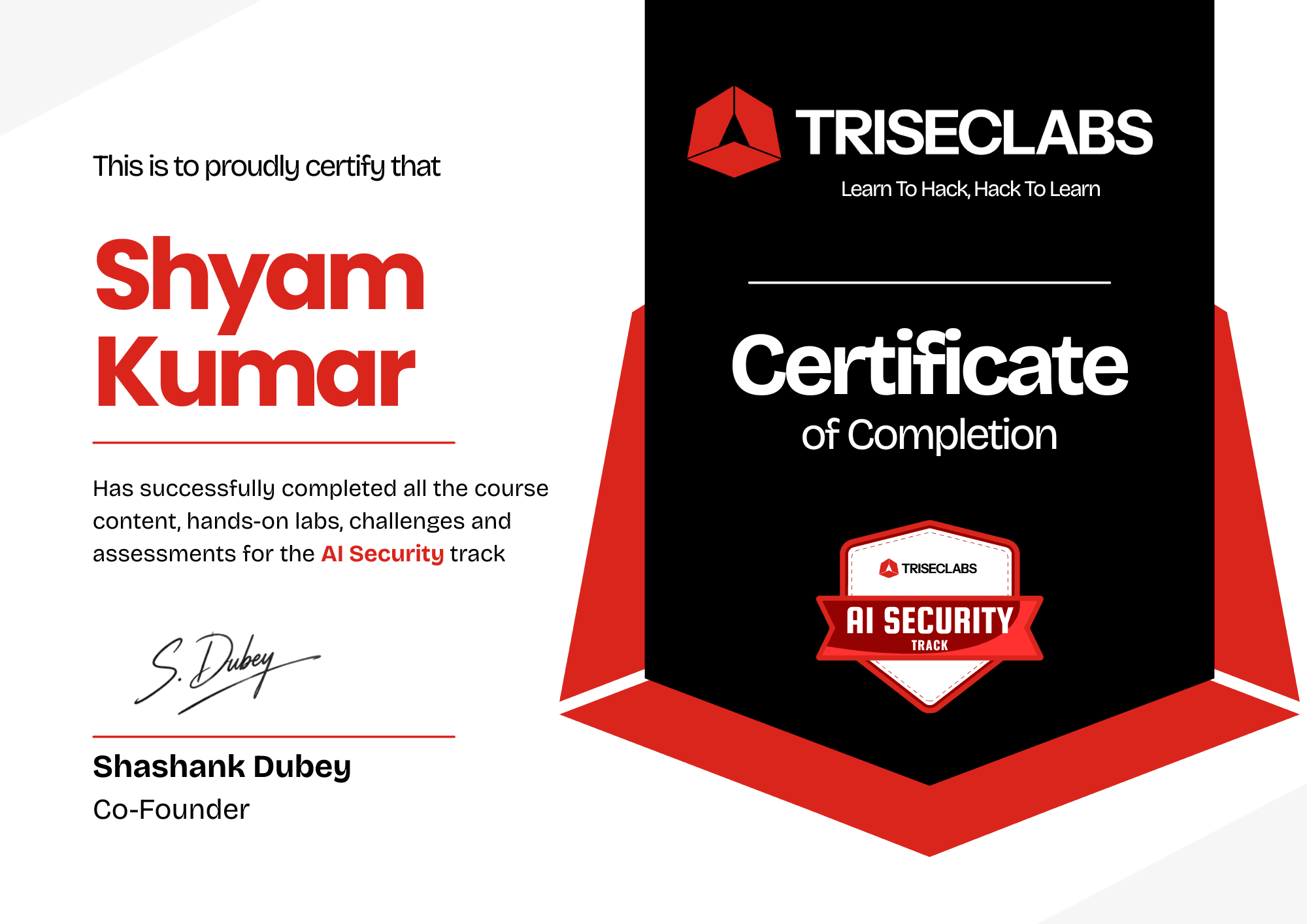 AI Security Certificate